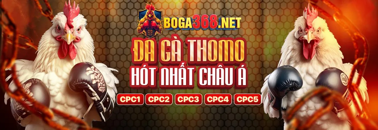 Hình ảnh cá cược thể thao sôi động tại yoo88